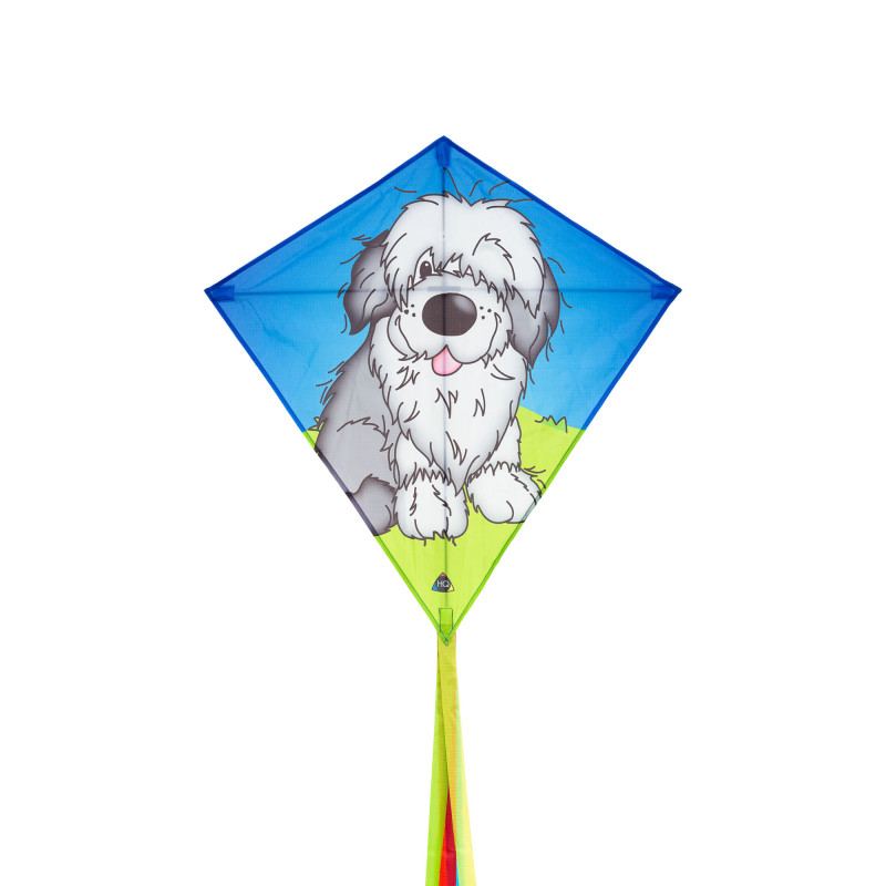 HQ Eddy Cheval : : Jeux Et Jouets