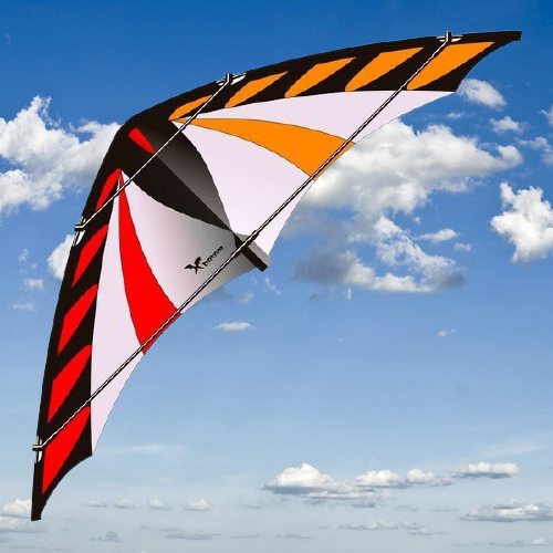 X-Kites SkyBugz DLX Nylon Kites Set of 4 Kites Dragonfly,Butterfly,Ladybug,Bee 